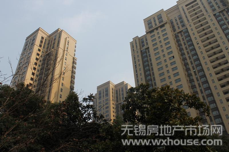 項目現房實景圖      