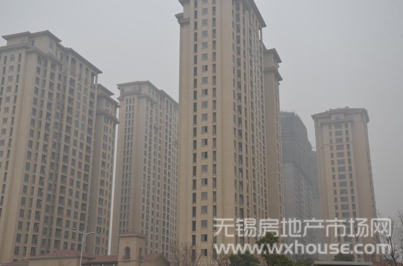 項目施工進度      