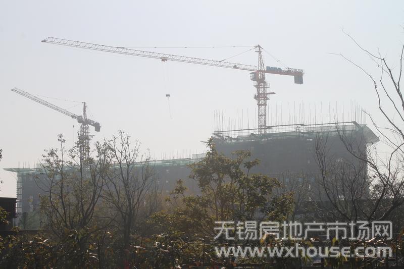 項目施工進度      