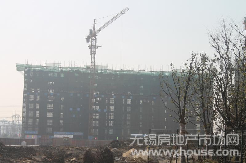 項目施工進度      