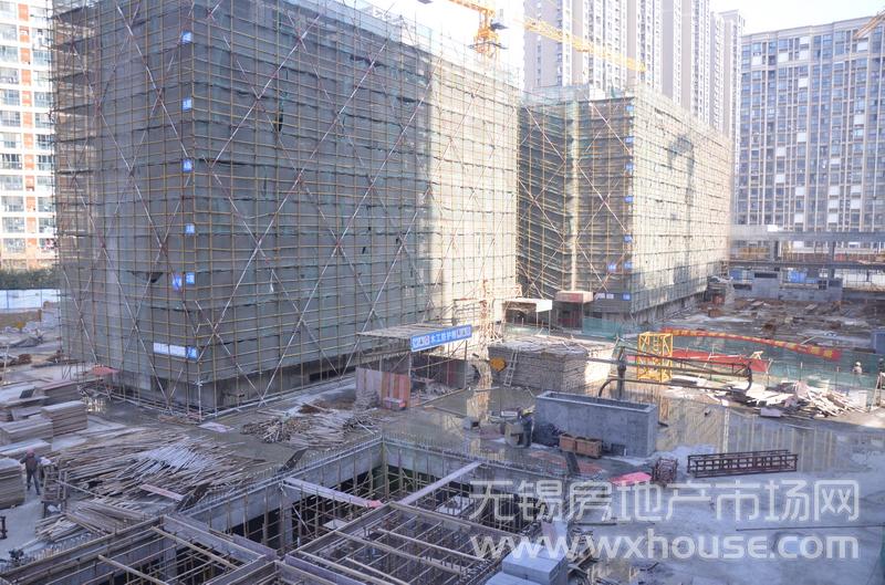 項目施工進度      