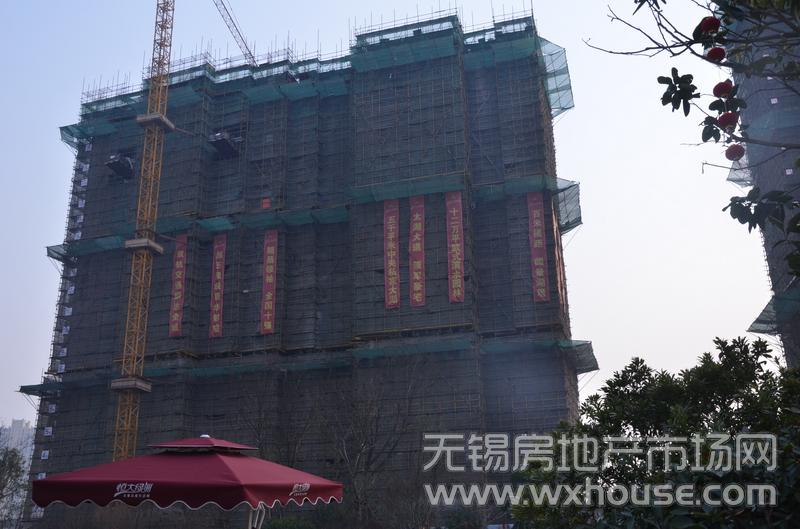 項目施工進度      