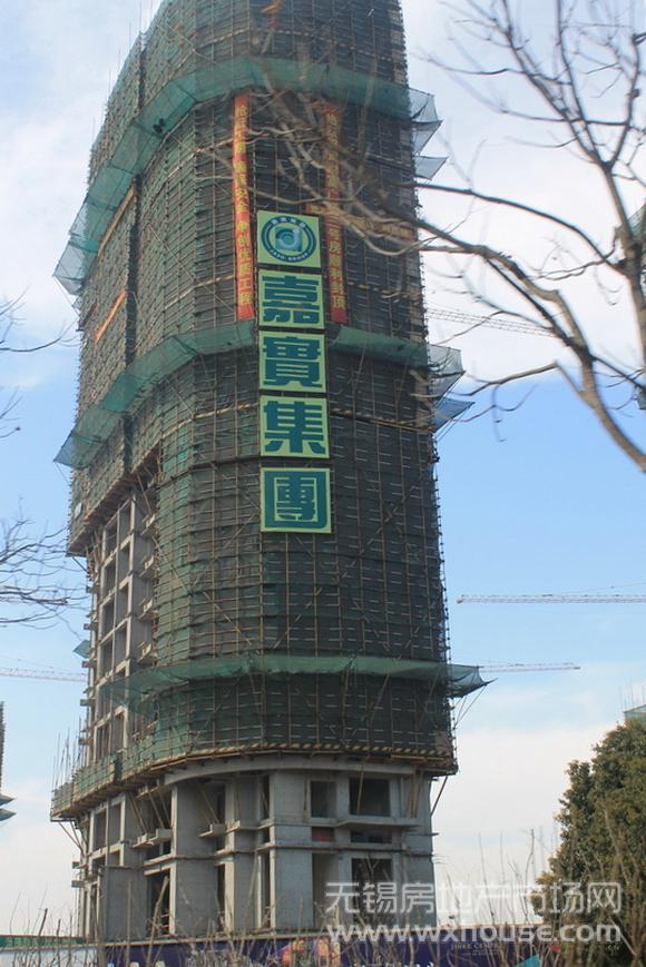 項目施工進度      