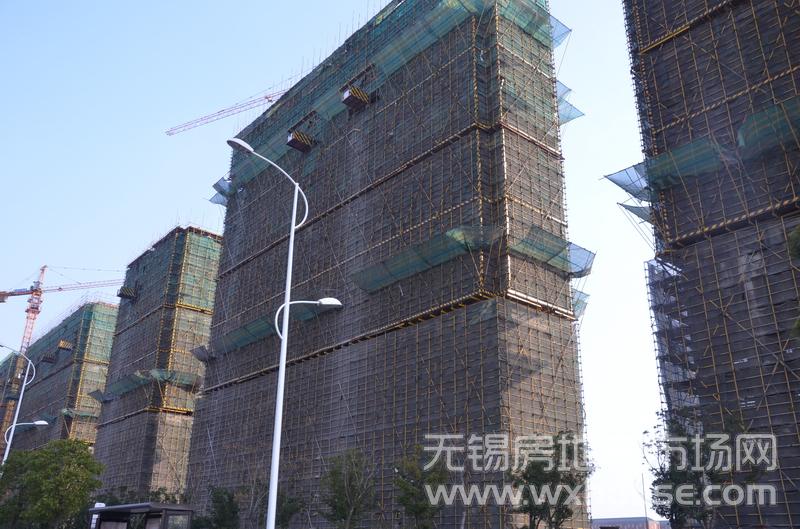 項目施工進度      