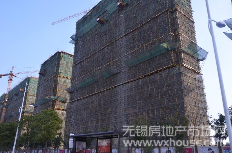 項目施工進度      