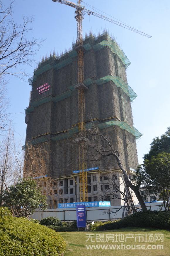 項目施工進度      