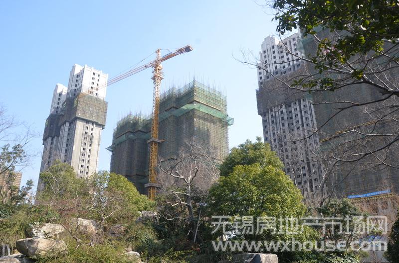 項目施工進度      