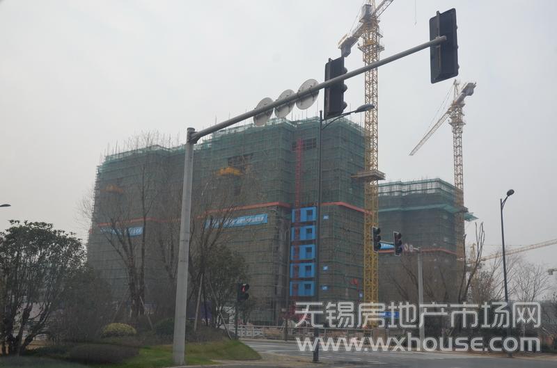 項目施工進度      