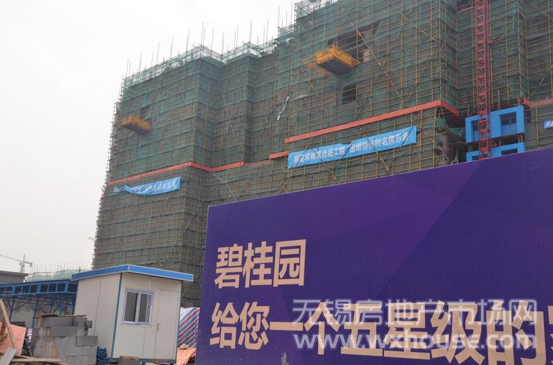 項目施工進度      