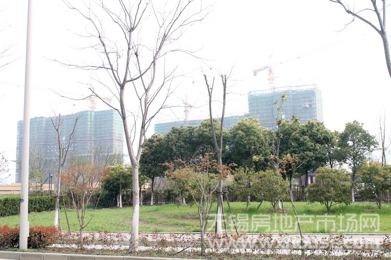 現場施工進度      