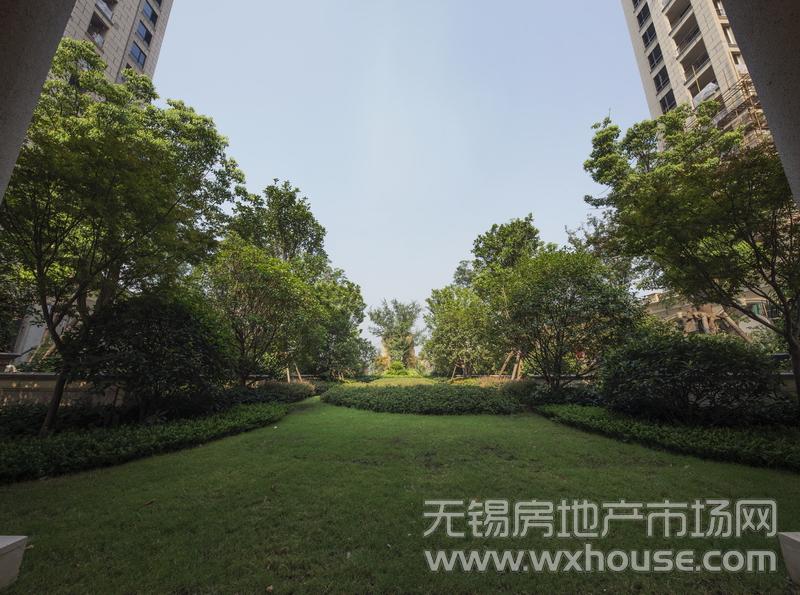 項目小區實景      