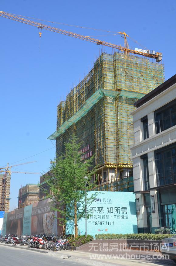 現場施工進度      