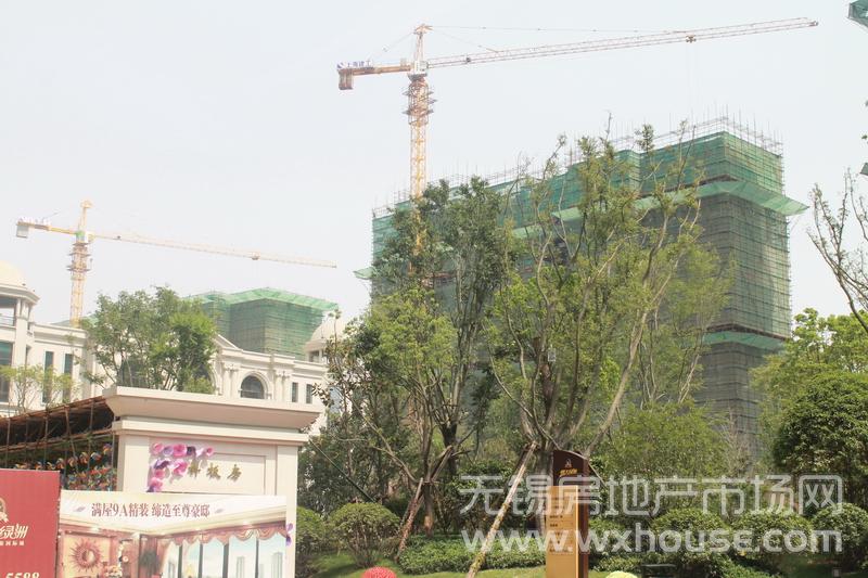 現場施工進度      