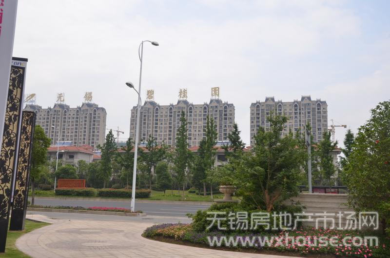 現場施工進度      