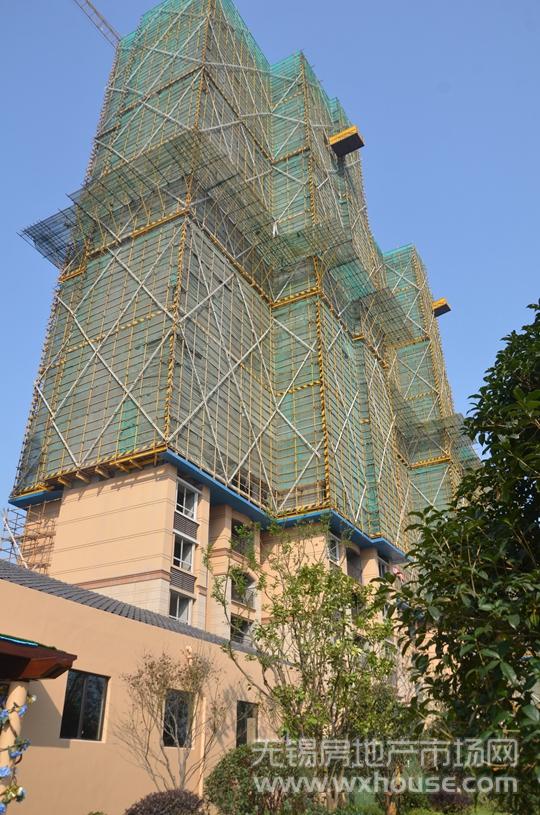 施工進度圖      