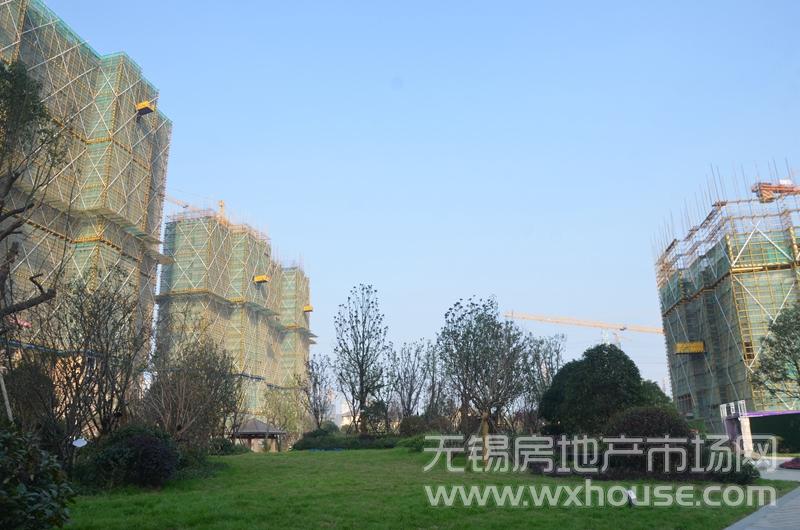 社區實景      