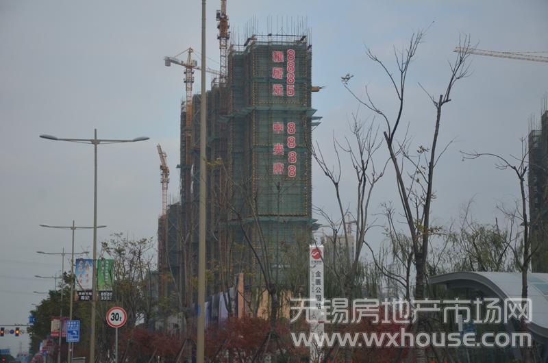 施工進度圖      