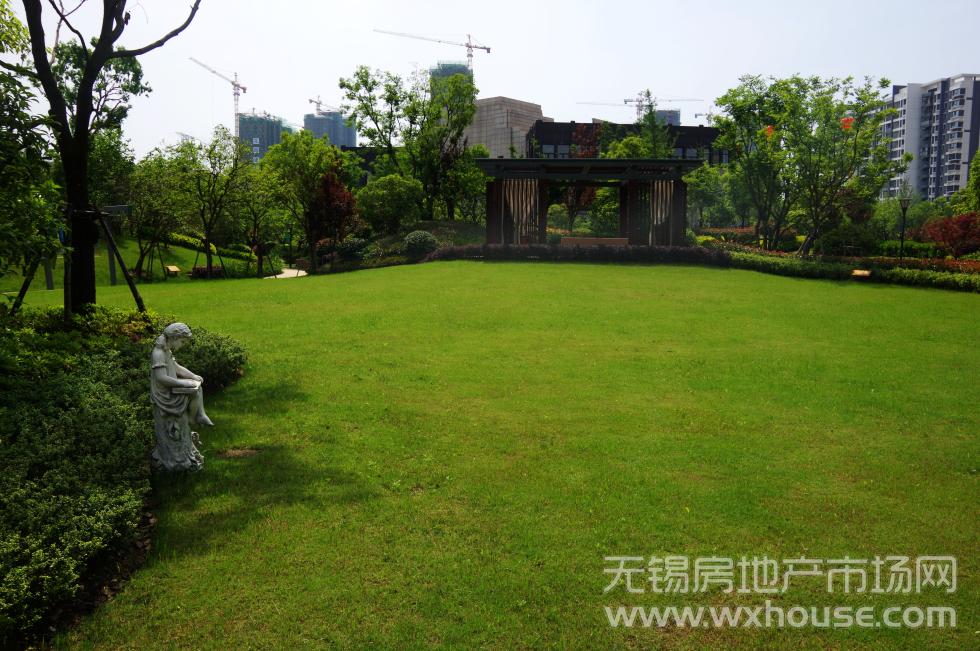 實景圖      