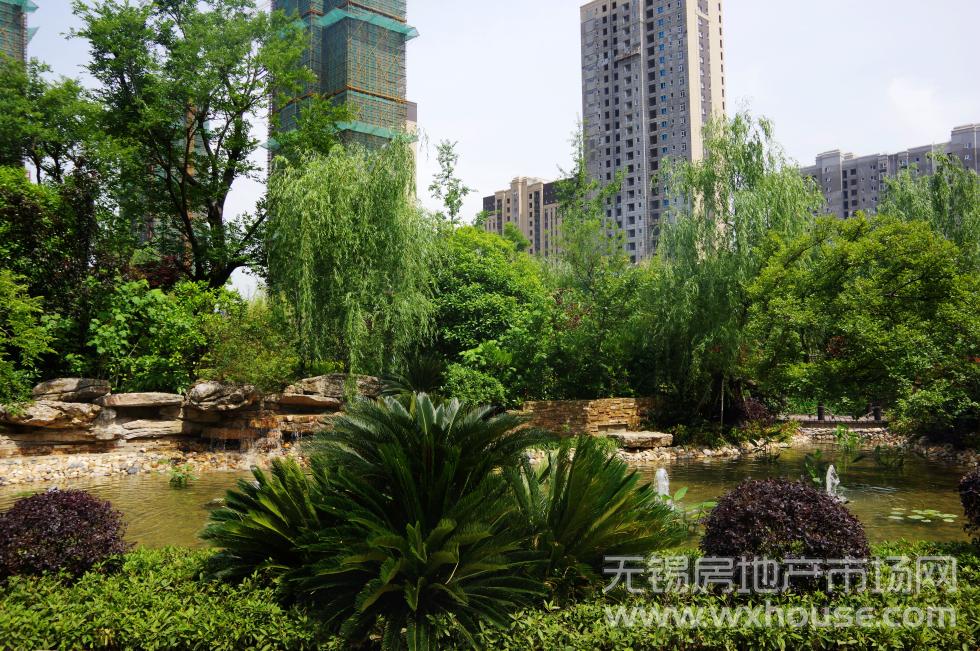 實景圖      