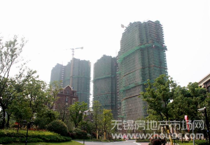 工程進度      