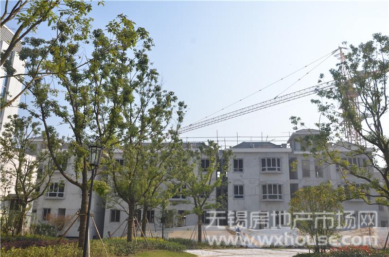 現場施工進度      