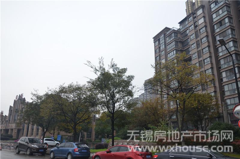 周邊社區：美新玫瑰大道      