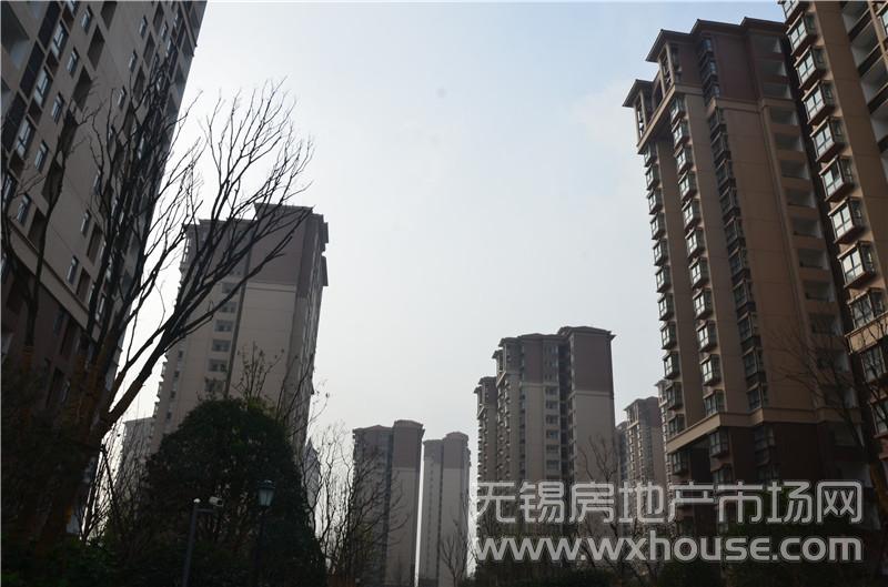 社區實景      