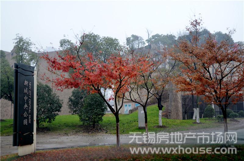 周邊配套：新城中央公園      