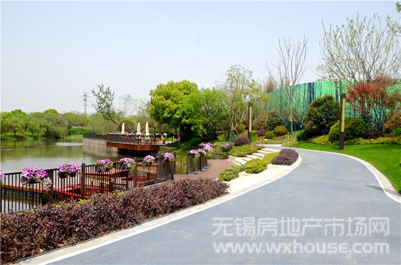 樣板示范區實景      