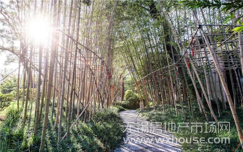 示范區實景