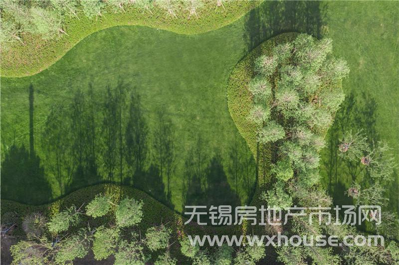 實景圖